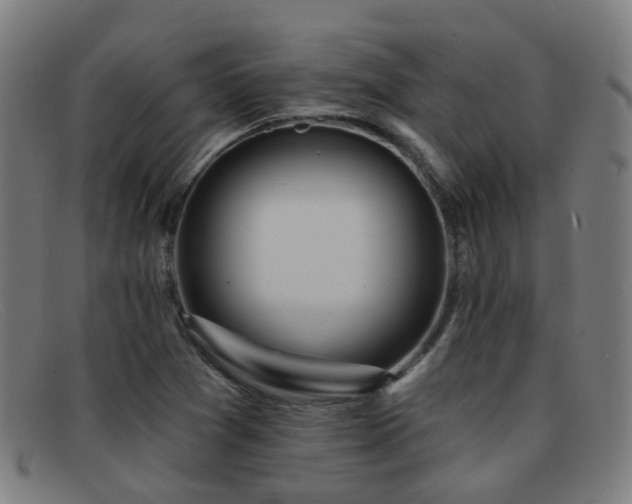 X0000092041361200709121145