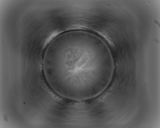 X0000092041363200709121145