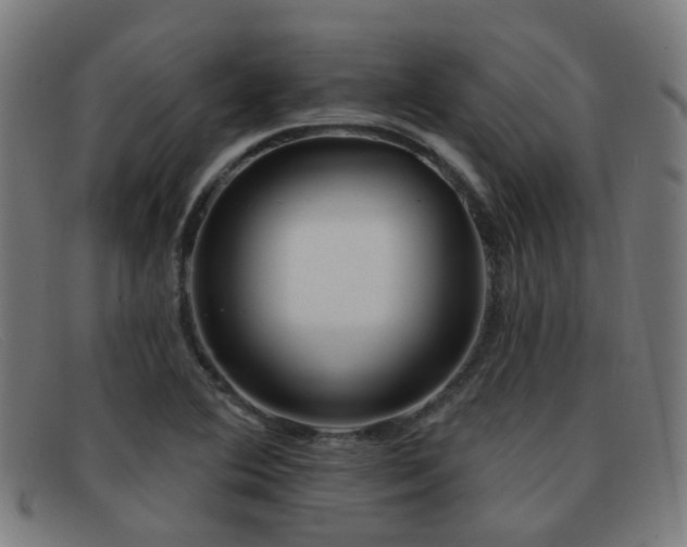 X0000092041364200709121145