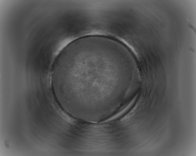 X0000092041367200709121145