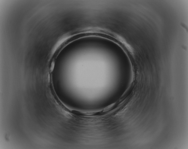 X0000092041368200709121145