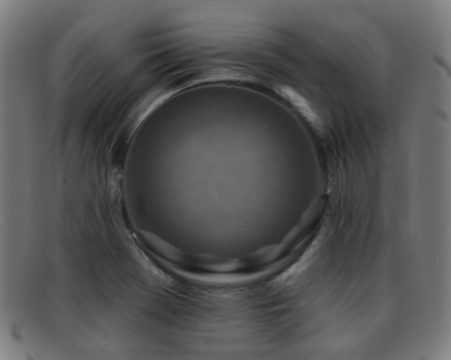 X0000092041369200709121145