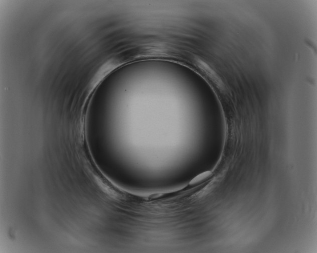 X0000092041370200709121145