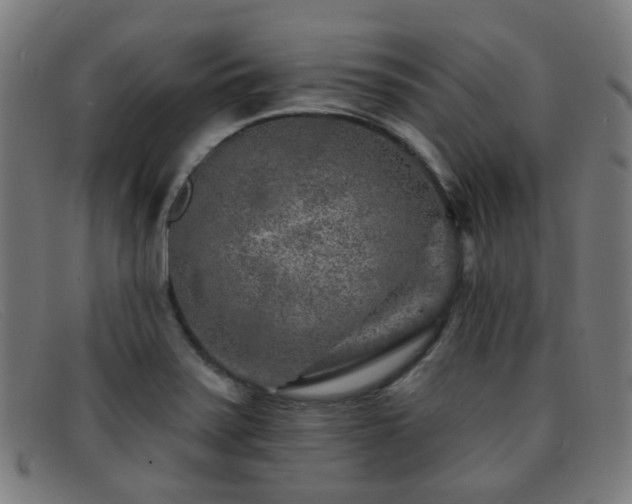 X0000092041371200709121145