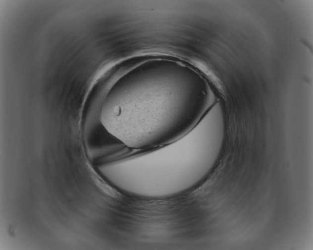X0000092041372200709121145