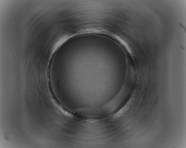 X0000092041373200709121145