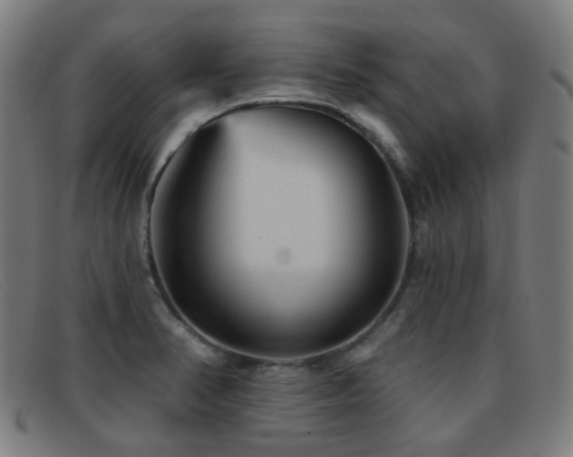 X0000092041374200709121145