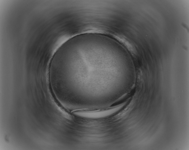 X0000092041375200709121145