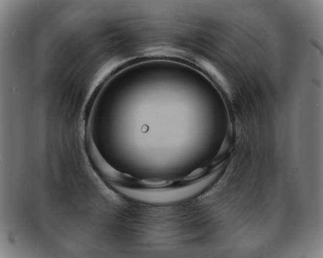 X0000092041376200709121145