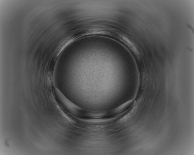 X0000092041377200709121145