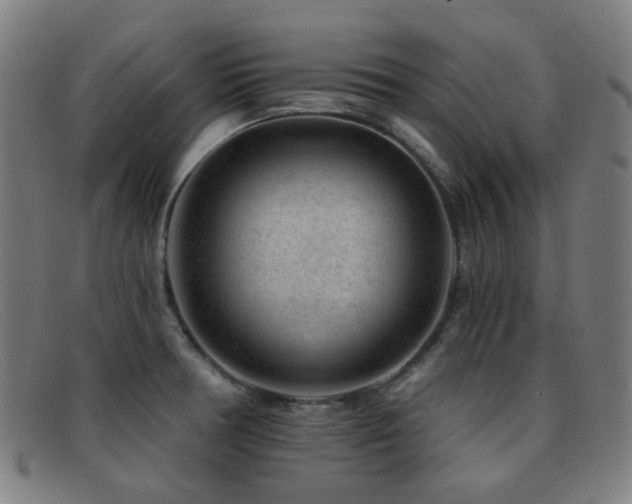 X0000092041378200709121145