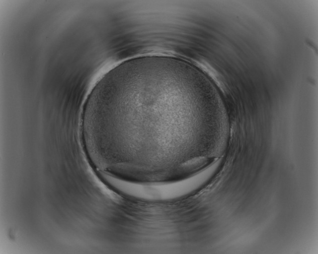 X0000092041379200709121145