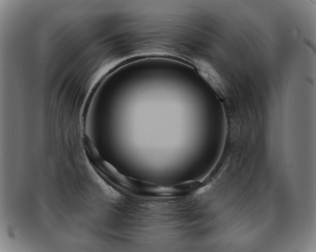 X0000092041380200709121145