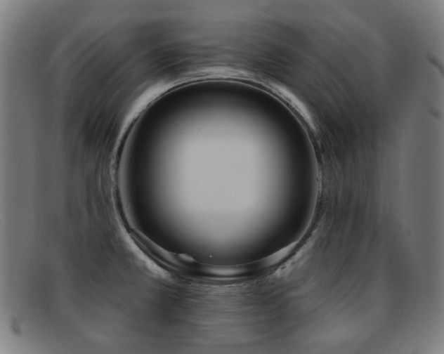 X0000092041381200709121145