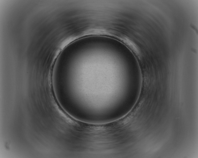 X0000092041382200709121145