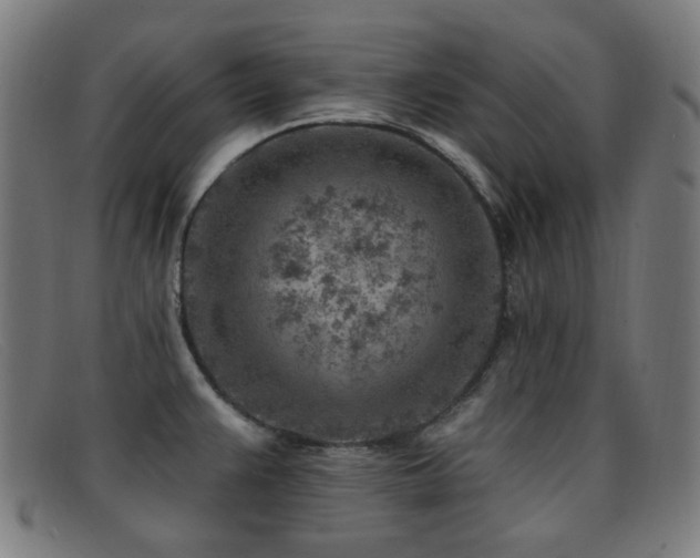 X0000092041383200709121145