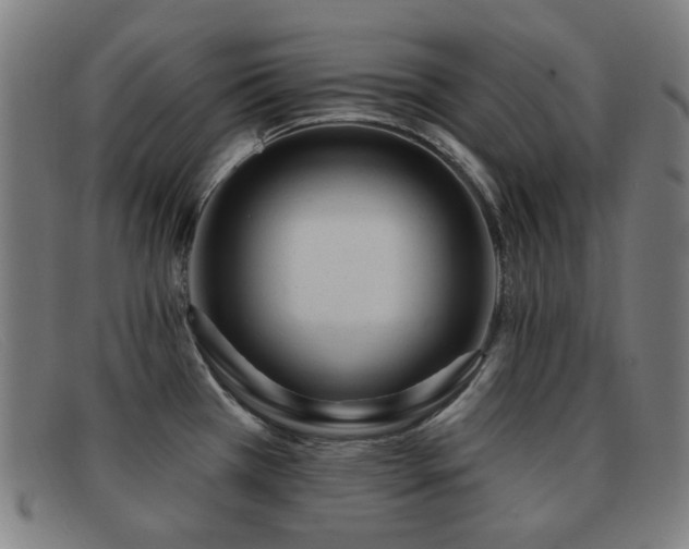 X0000092041385200709121145