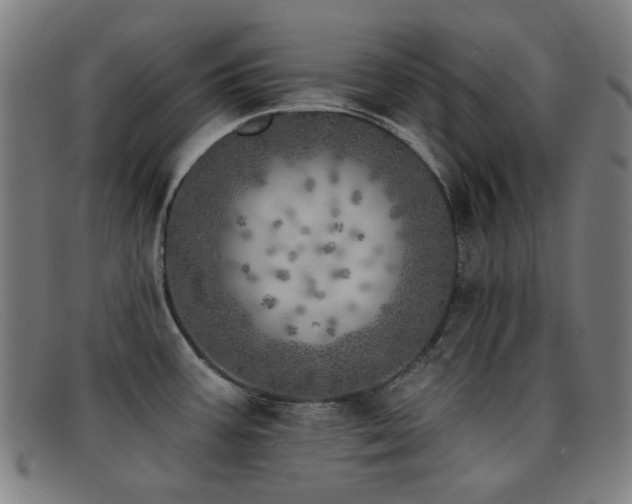 X0000092041387200709121145