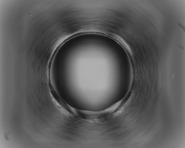 X0000092041388200709121145
