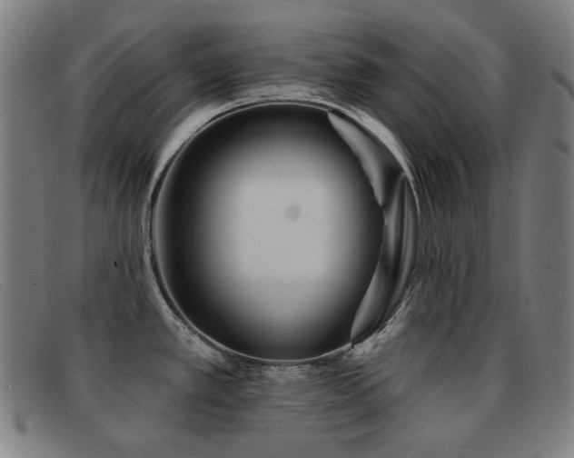X0000092041389200709121145
