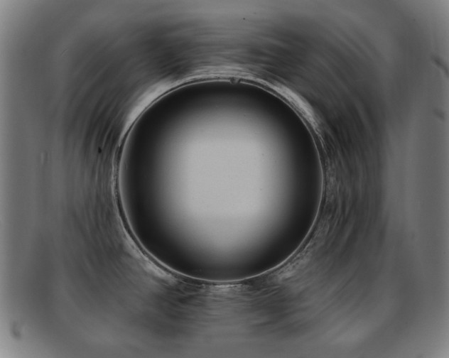 X0000092041390200709121145