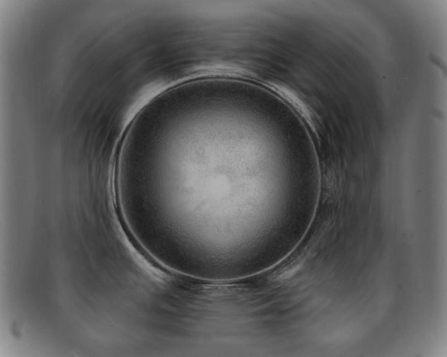 X0000092041391200709121145