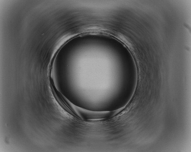 X0000092041392200709121145