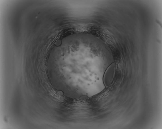 X0000092041393200709121144