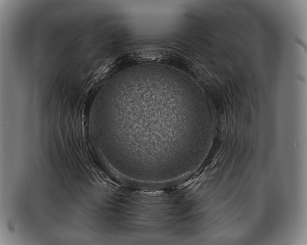 X0000092041394200709121144