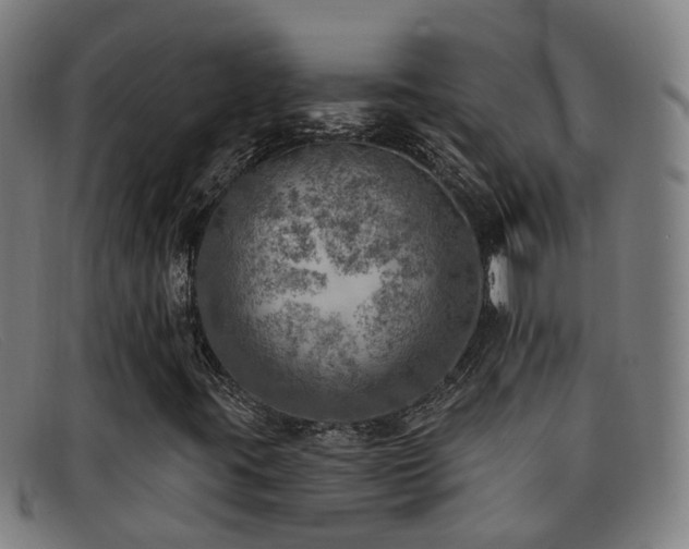 X0000092041395200709121144