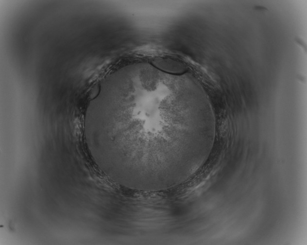 X0000092041397200709121144