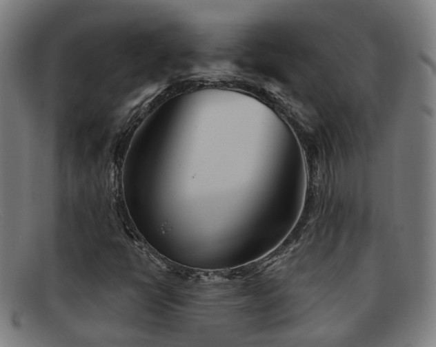 X0000092041398200709121144