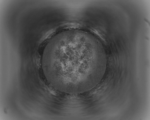 X0000092041399200709121144