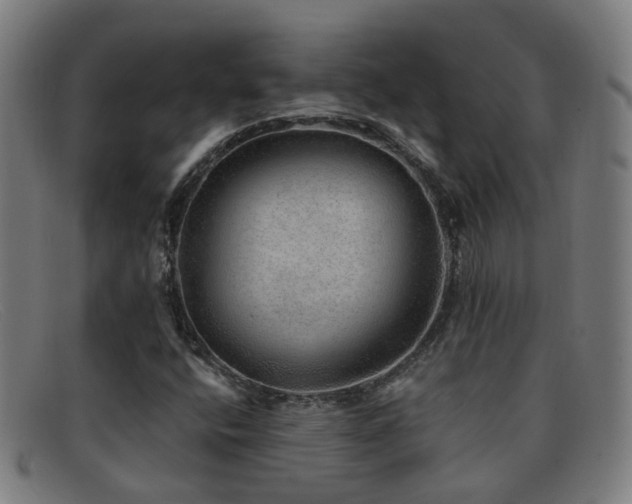 X0000092041400200709121144