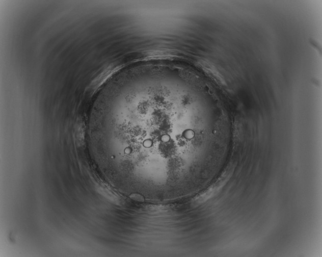 X0000092041401200709121144