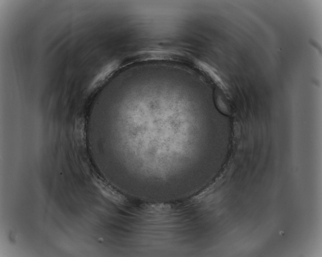 X0000092041403200709121145