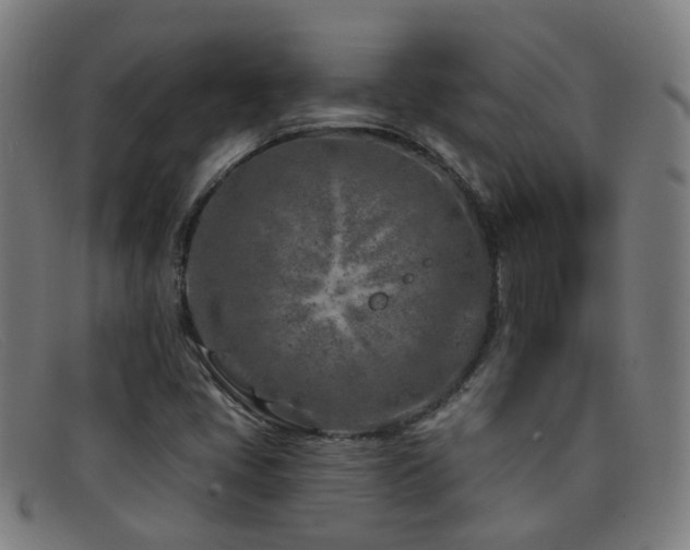 X0000092041405200709121145