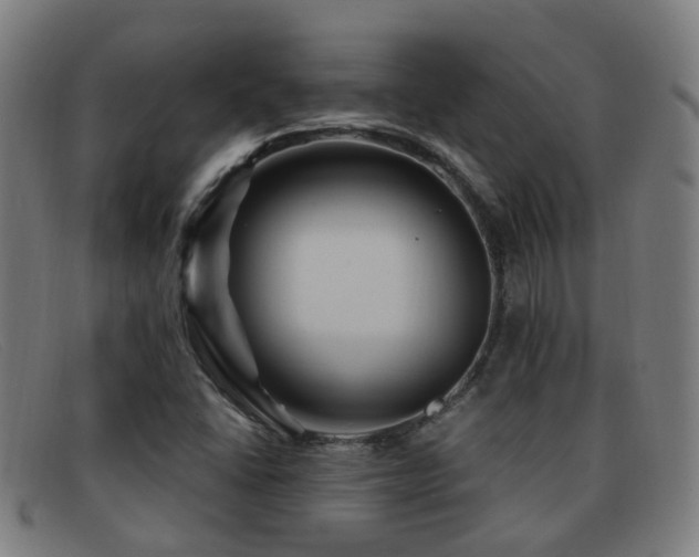 X0000092041406200709121145