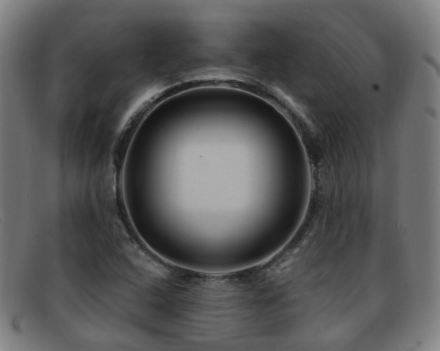 X0000092041408200709121145