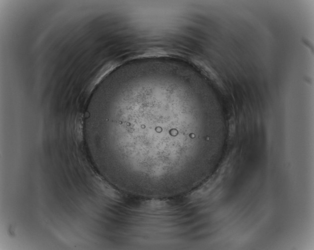 X0000092041409200709121145