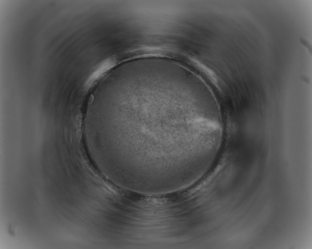 X0000092041411200709121145