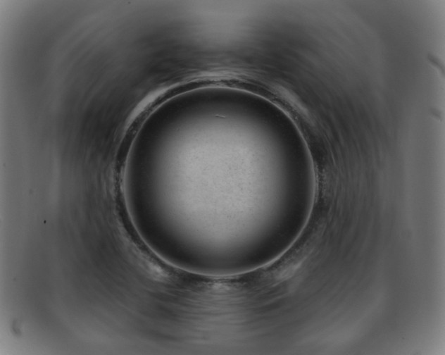 X0000092041412200709121145