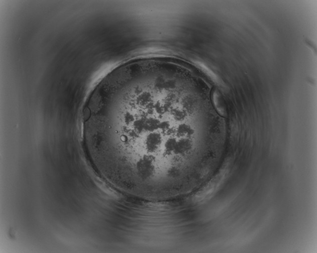 X0000092041413200709121145