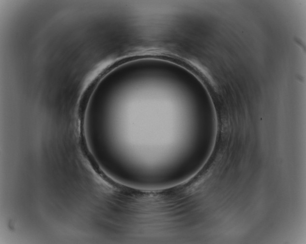 X0000092041414200709121145