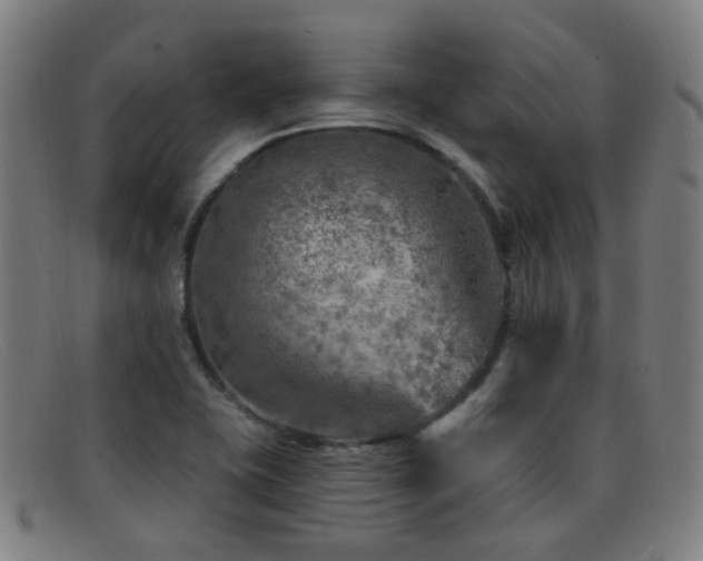 X0000092041415200709121145