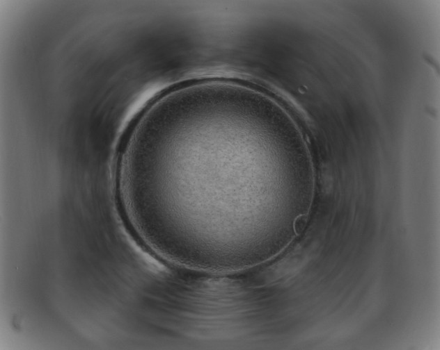 X0000092041416200709121145