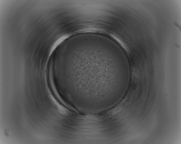X0000092041418200709121145