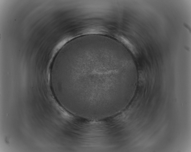 X0000092041419200709121145