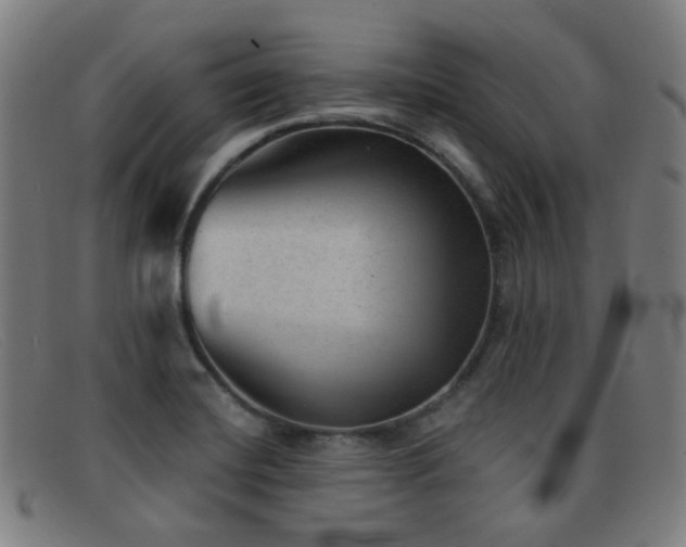 X0000092041420200709121145