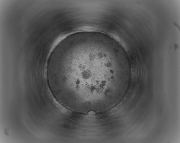 X0000092041421200709121145